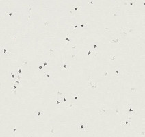 Линолеум Forbo Sphera Evolution 50432 silver white фото 1 | FLOORDEALER